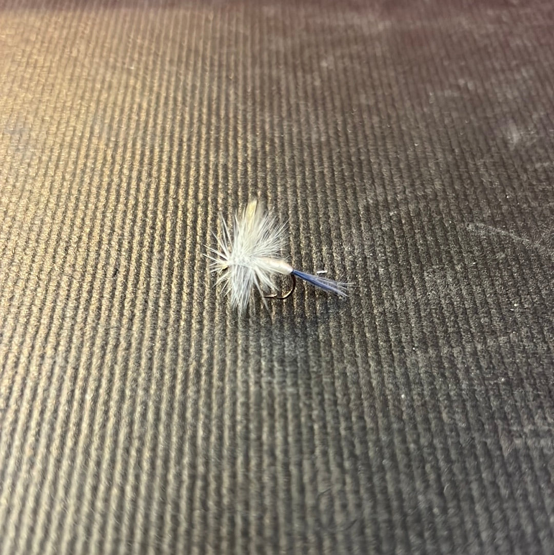 Jackson Cardinal Pale Morning Dun hook size 12