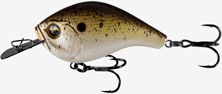 13 Fishing Jabber Jaw Truffle Butter
