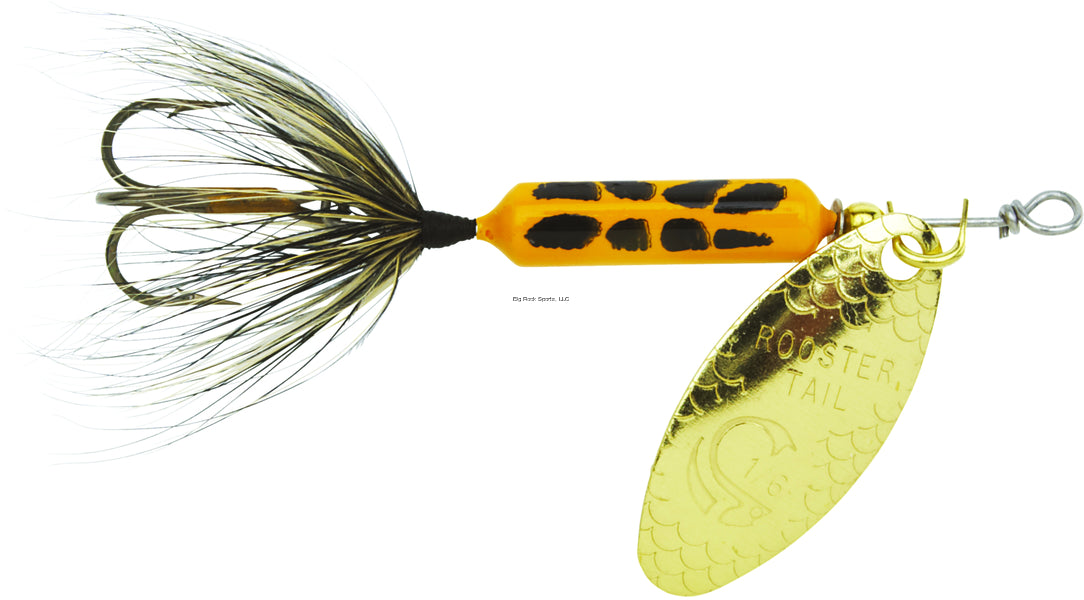 Worden's Rooster Tail 1/8oz Coachdog