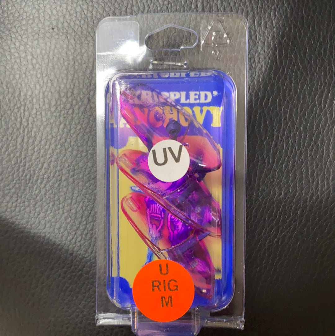 Krippled Anchovy pink/purple stripe