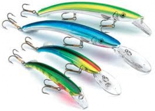 Reef Runner