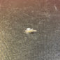 Jackson Cardinal BLUE WING OLIVE PARACHUTE hook size 16