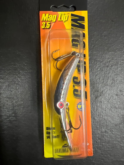 Mag Lip Metallic Silver