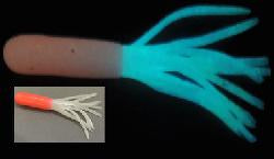 Dry Creek 2.25” solar tube flaming ghost