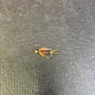 Jackson Cardinal Beadhead Prince Nymph hook size 12