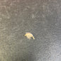 Jackson Cardinal Beadhead Tan Scud hook size 14