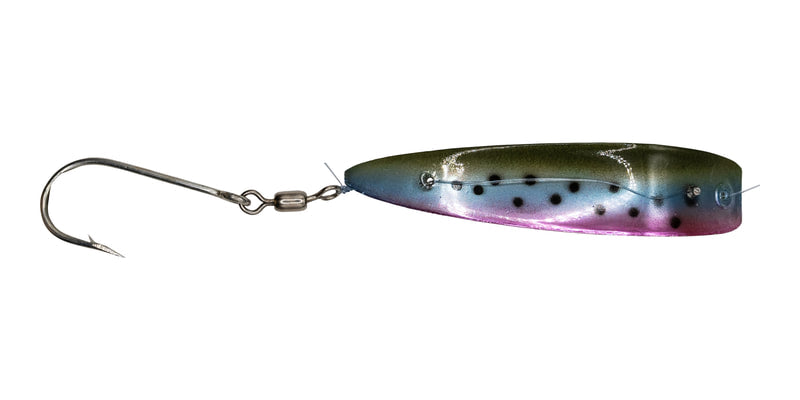 #351 Rainbow Trout Apex