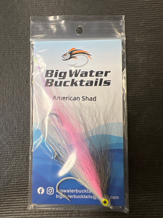 BWB American Shad