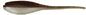 Bobby Garland 2” baby shad red thunder