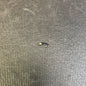 Jackson Cardinal Nickel Bead Zebra Midge Black hook size 14