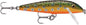 Rapala countdown 9 brook trout