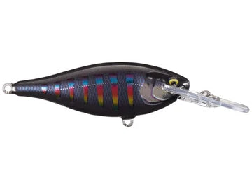 Rapala Shad Rap Elite 75 Crankbait Gilded Night Aurora