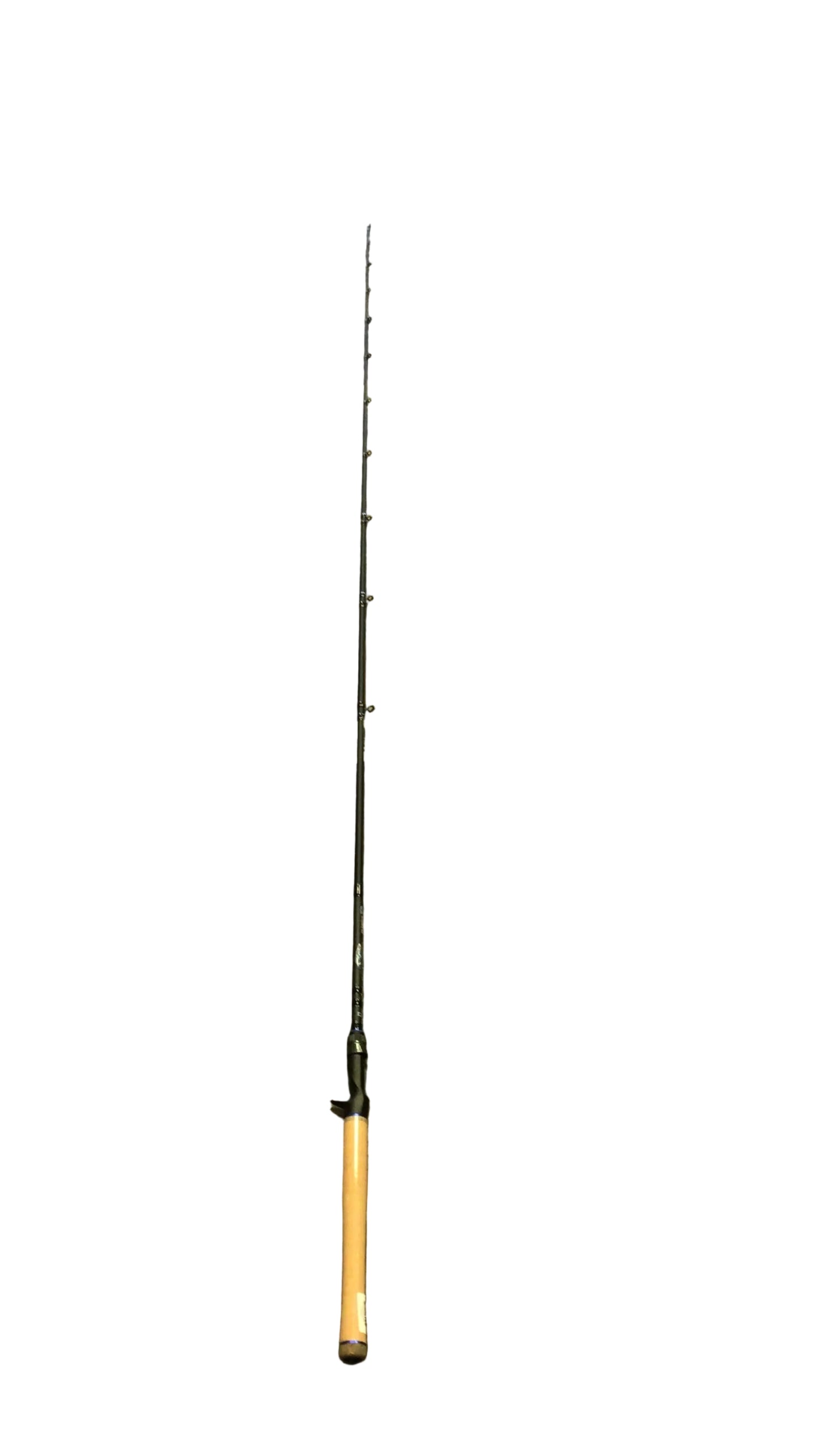 Dobyns Champion XP Casting Rod