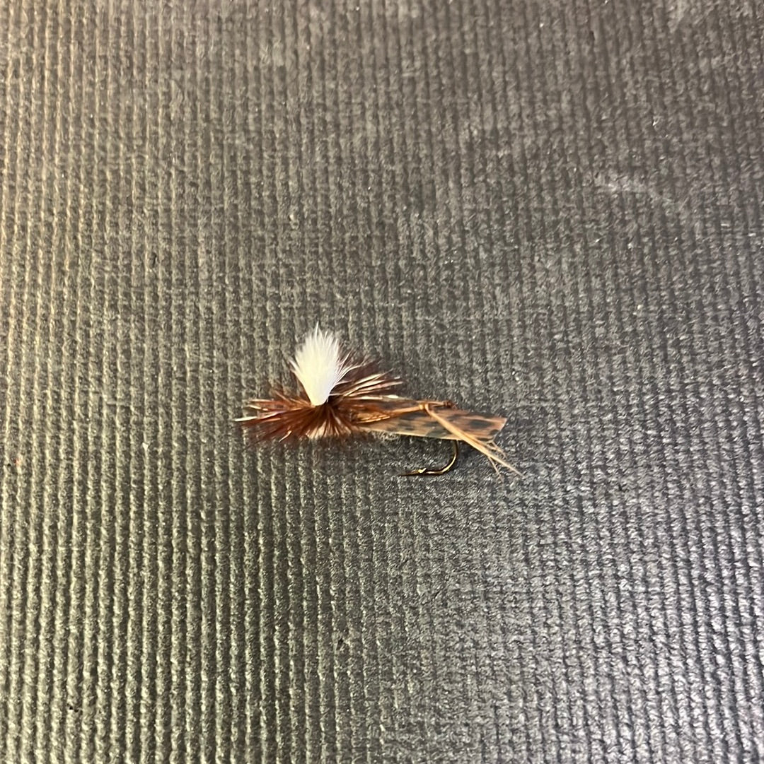 Jackson Cardinal Parachute Hooper hook size 12