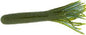 Dry Creek 4.5” Columbia craw