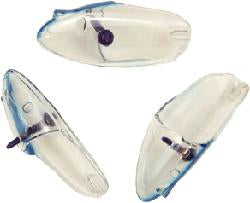Krippled Anchovy blueberry