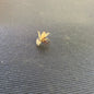 Jackson Cardinal ELK HAIR CADDIS hook size 14