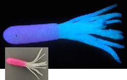Dry creek 2.25” solar tube Shrimp Ghost