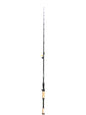 Dobyns Champion XP Casting Rod