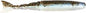 Z Man 4.5” Chattershad the deal