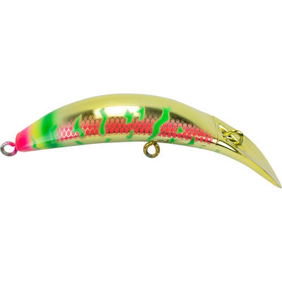 Brad’s Killer Fish K16 Flying Codino
