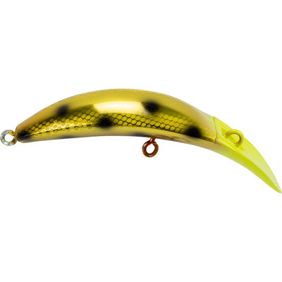 Brad’s Killerfish KF-15 (Gold Parrot)