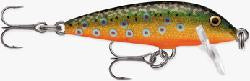 Rapala Countdown 5 Brook Trout