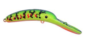 Mag Lip Bleeding Firetiger