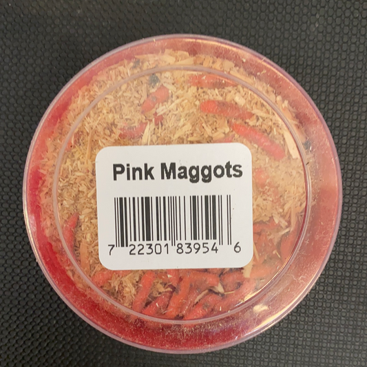 Maggots (Pink)