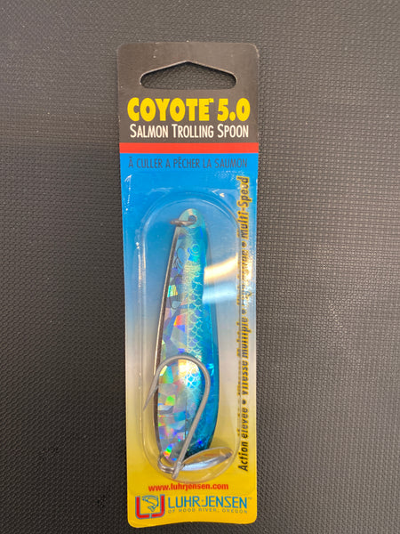 Coyote 5.0 Blue & Chrome